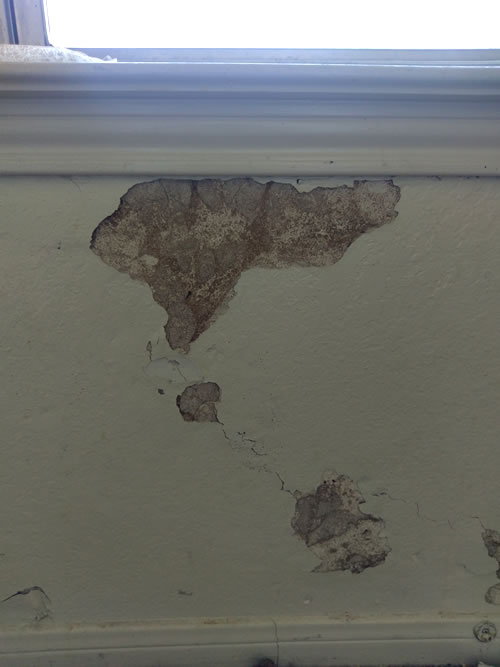 Termite Damage - Termite Inspection Report - Killeen, Texas