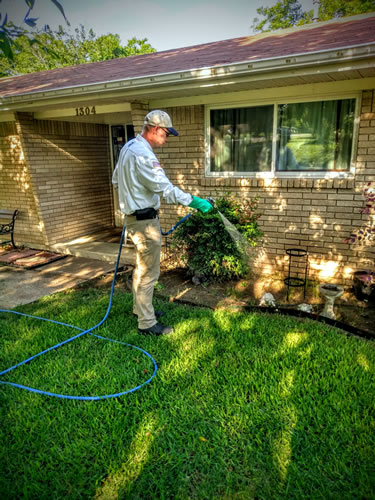 Pest Control Killeen, Temple & Central Texas